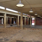 Fair Park, Swine Building
