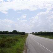 Corn Fields - Ellis County