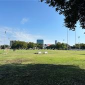 Glencoe Park