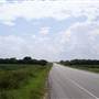 Corn Fields - Ellis County