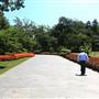 Dallas Arboretum & Botanical