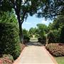 Dallas Arboretum & Botanical