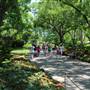 Dallas Arboretum & Botanical