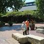 Dallas Arboretum & Botanical