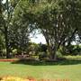 Dallas Arboretum & Botanical