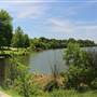 White Rock Lake Park (Overview)
