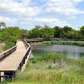 Urban Fish & Wildlife Office & Grounds, Cedar Hill State Park