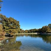 Kidd Springs Park