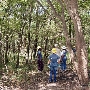 Trinity Forest