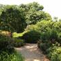 Dallas Arboretum & Botanical