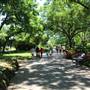 Dallas Arboretum & Botanical