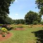 Dallas Arboretum & Botanical