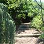 Dallas Arboretum & Botanical