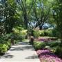 Dallas Arboretum & Botanical