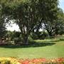 Dallas Arboretum & Botanical