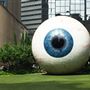 The Eye
