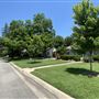 Kessler Park Neighborhood