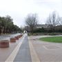 Southern Methodist University
