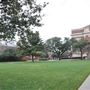 Southern Methodist University