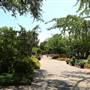 Dallas Arboretum & Botanical