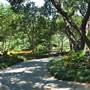 Dallas Arboretum & Botanical