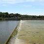 White Rock Lake Park (Overview)