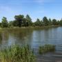 White Rock Lake Park (Overview)