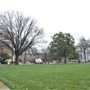 Southern Methodist University