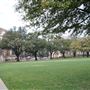 Southern Methodist University