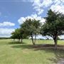 Roadrunner Ranch
