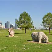 Trammell Crow Park