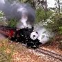 Texas State Railroad - Rusk/Palestine