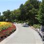 Dallas Arboretum & Botanical