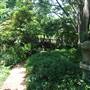 Dallas Arboretum & Botanical