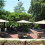 Dallas Arboretum & Botanical
