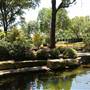 Dallas Arboretum & Botanical