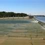 White Rock Lake Park (Overview)