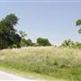White Rock Lake Park (Overview)