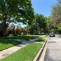 Kessler Park Neighborhood