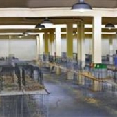 Fair Park - Poultry Bldg.