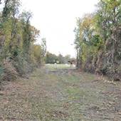 Campion Trail