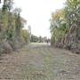 Campion Trail