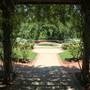Dallas Arboretum & Botanical