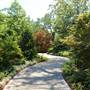 Dallas Arboretum & Botanical