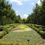 Dallas Arboretum & Botanical