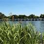 White Rock Lake Park (Overview)