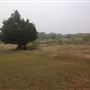 HARRIS RURAL PROPERTY
