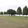 Boy Scout Hill - White Rock Lake