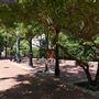 Stone Place Walkway