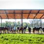 River Ranch Texas Horse Park